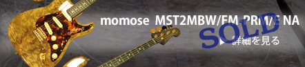 momose MST2MBW/FM-PRM/E NA